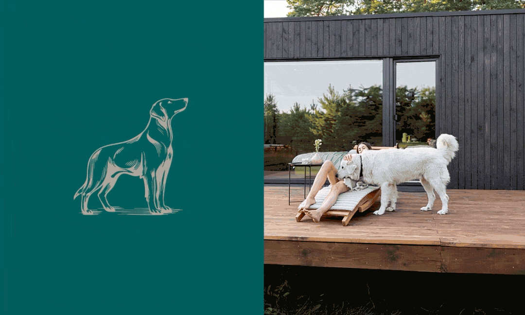 Read more about the article Domivara Real Estate <br> Brand Design