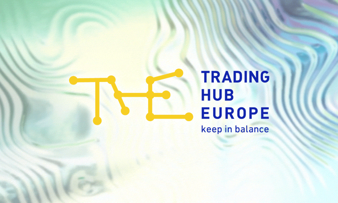 Read more about the article Traiding Hub Europe – Rebrush